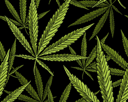 In Brief: Cannabis used in ancient times Thousands of years ago, cannabis was used in burial rituals.